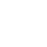Massive Security Logo